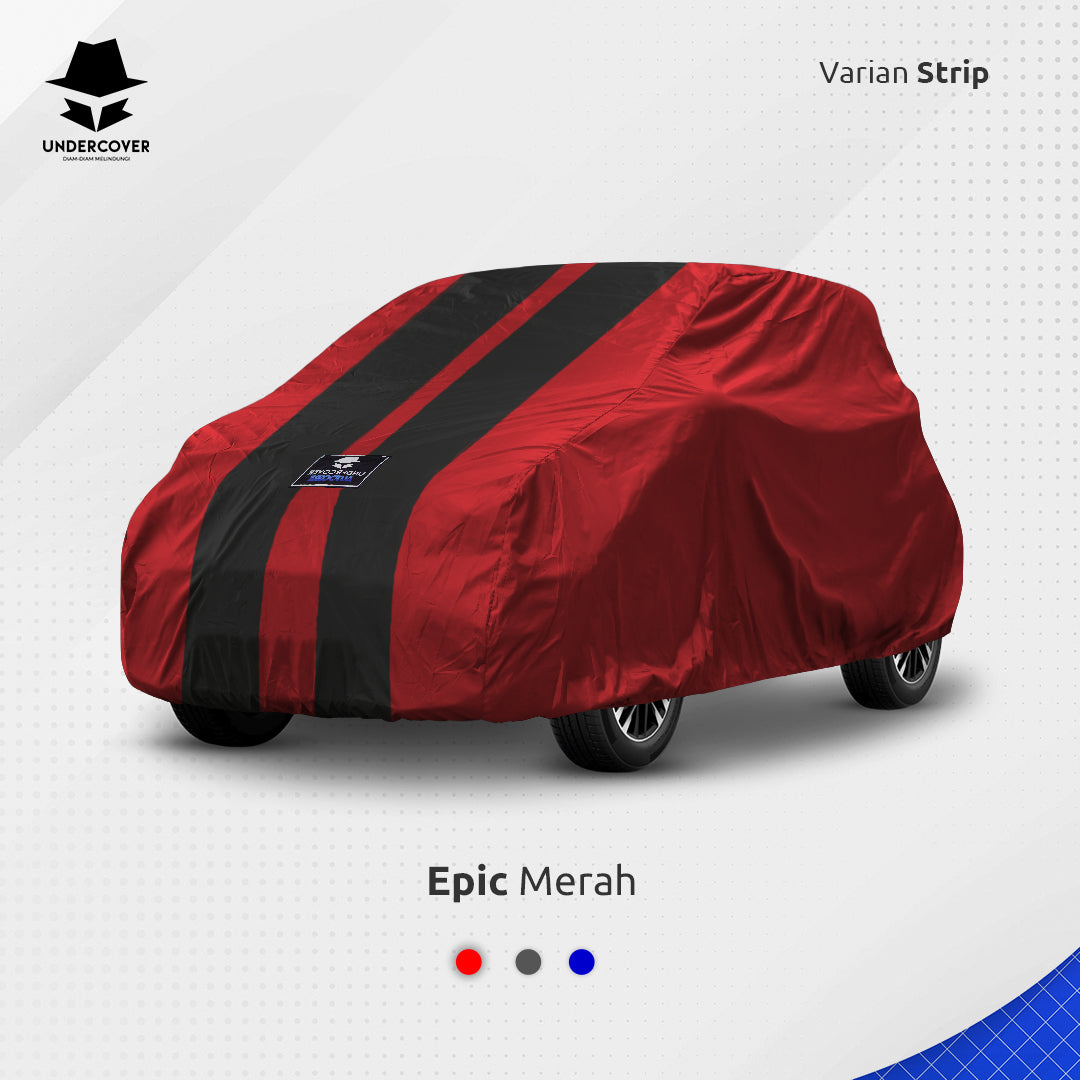 Cover Mobil Chery EQ1 Reguler