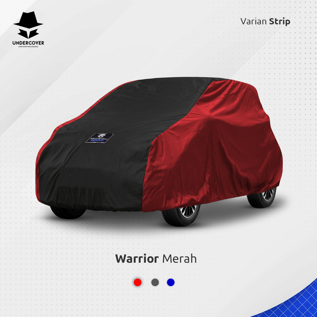 Cover Mobil Chery EQ1 Reguler