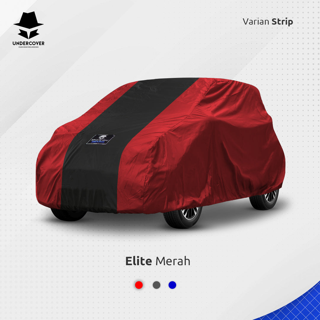 Cover Mobil Chery EQ1 Reguler
