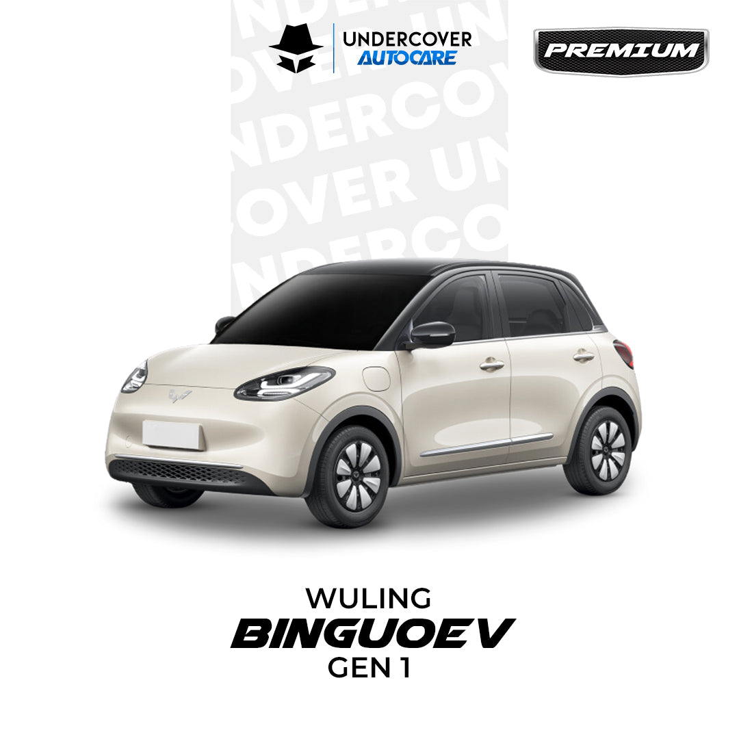 Cover Mobil Wuling BinguoEV Premium
